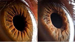 신기한 확대 사진 “사람의 눈을 1000배 확대해 보니…”