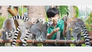 [수도권/메트로 달인]서울동물원 큐레이터 김보숙 동물기획팀장