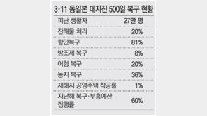 동일본 대지진 500일째… 27만명 아직도 피난 중