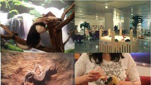 사람과 동물의 하나된 공간으로의 초대 ‘체험동물농장’