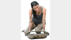 [광주/전남]갯벌 위를 씽씽~ 내달 4일 보성 뻘배대회 열려