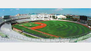 [대구/경북]포항으로 프로야구 보러 오세요