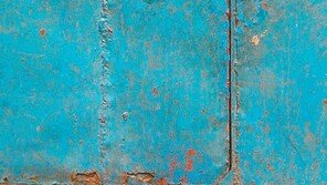 [포토 에세이]“바깥 세상은 어떤 모습일까”