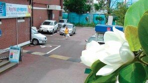 [인천/경기]여름 목련 활짝, 아이들도 활짝