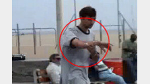 [영상] 변비약 먹인 갈매기, 배설물 테러로 해변 초토화 