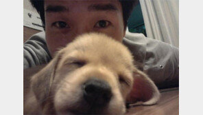 유지태 유기견 입양, ‘효진이 이름땄나?’ 강아지 이름이…