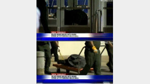  [영상] 백화점에 간 곰, 어쩌다가 백화점까지?  