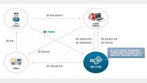 ‘소비자 속이는 인터넷쇼핑몰’ 사각지대 개선