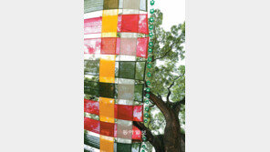 [포토 에세이]사찰서 바라본 여름 하늘