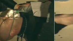 ‘살인고래’, 조련사 물속으로 끌고 들어가…충격 영상 공개