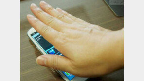 주인 알아보는 스마트폰, 삼성전자 갤럭시 S3