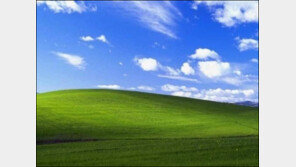 ‘10억명이 본 사진’ 어디서 많이 본 사진…낚였지만 일리는 있네! 