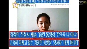 김정민 사칭 음란 동영상 유포자, 벌금형 선고