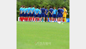 더블 삼각편대 뜬다…멕시코는 납작코!