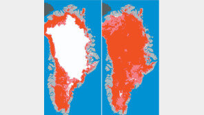 그린란드 거대빙하 4일만에 40%→97% 녹아… NASA “위성관측 이후 처음”