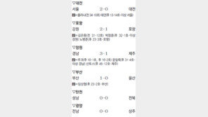 꼴찌 울린 ‘데몰리션 콤비’… 서울, 대전에 2-0