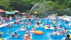 [인천/경기]이맘때 딱! 숲속 수영장