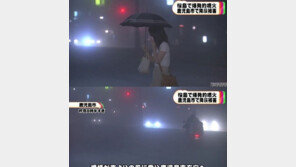 [영상] 일본 가고시마 화산 폭발, “어떤 피해 있었나?”