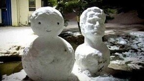 일반대생과 미대생의 차이, “이런게 진정한 눈사람이지!”