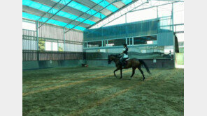 가희, 승마 삼매경 ‘타이트한 승마바지 완벽 소화’