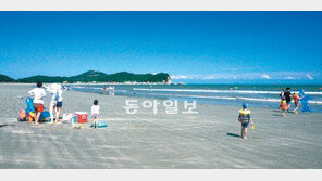 [인천/경기]백령도 놀러갔다 발묶일 걱정 ‘뚝’