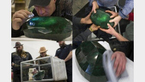 강가에서 주운 돌, 800억 원 대박! “인생 한 방이라더니…”