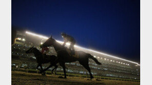 말산업 육성단지 만든다