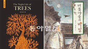 [140자로 보는 어린이 책]노자 할아버지 같이 놀아요! 外