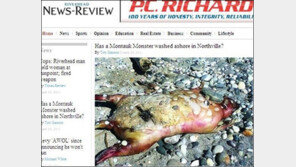 美 괴생명체 발견, 정체 알 수 없어…누리꾼 경악