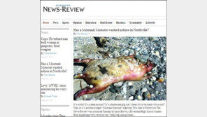 美 괴생명체 발견, “괴생명체만 나오면 호들갑!”