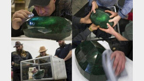 강가에서 주운 돌이 800억 원… “로또 왜 하나? 돌 줍자!”