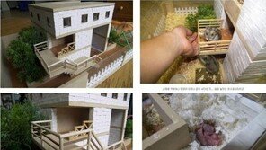 ‘럭셔리 햄스터 집’ 정교하고 꼼꼼해, “주인이 건축학도일 듯”