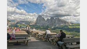 유럽 카페의 위엄… 한국에서 찾아 볼 수 있을까?
