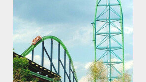 시속 206km 롤러코스터 타던 중 얼굴에 새가 ‘퍽’