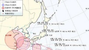 제10호 태풍 담레이 이어 사올라까지… 태풍 2개 북상 ‘비상’