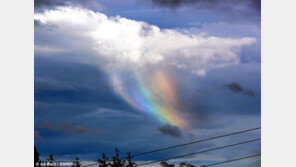 불타는 무지개, 이런 무지개도 있었네 “무지 예뻐”
