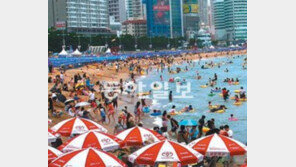 [오늘의 채널A]세계 최대 ‘파라솔 숲’ 해운대 백사장 24시