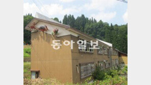 일본 에치고 쓰마리에서 열린 ‘대지의 예술제’