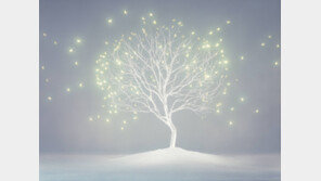 한여름, 매화와 설경에 취하다… 매화꽃이 있는 정원’-White Summer’전