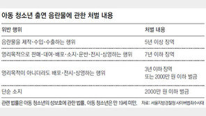 ‘아동 음란물’ 갖고만 있어도 처벌