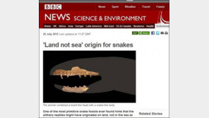 공룡시대 살던 괴물 뱀 발견, “어떻게 생겼길래?”