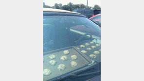 무서운 차 안 온도 “노릇노릇 구워지는 쿠키…오븐이 따로 없네!”