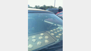 무서운 차 안 온도,  쿠키가 구워지네, “쿠키가 구워지는 온도는… 헉!”