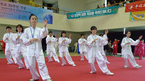 한·중 건강태극권 고수들이 모였다