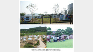 스파 도고 오토 캠핑장에서 올 여름 즐거운 물놀이 가족여행!