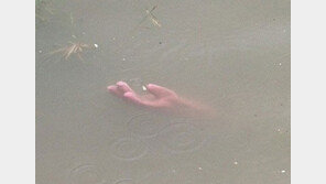 낚시꾼이 제일 놀라는 물건 ‘오싹하네’