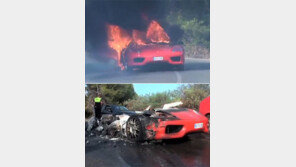 유명 축구선수의 3억5000만원짜리 페라리, 도로서 ‘숯덩이’로