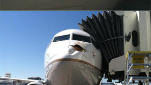 보잉 737기 동체 앞쪽에 구멍 ‘뻥’…새가 범인?