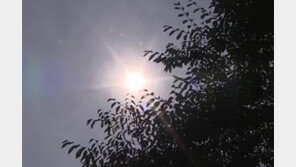 [뉴스A]폭염에 ‘즐거운 비명’ 지르는 곳 있다?