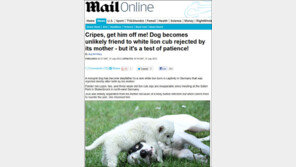 백호 키우는 개, “내가 니 애비다” 폭소!